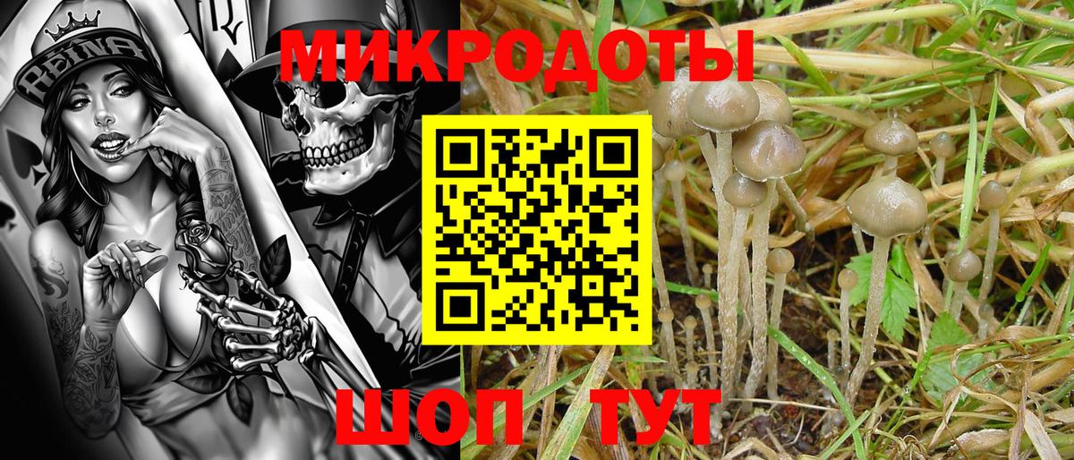 Псилоцибиновые грибы прущие грибы Нижневартовск